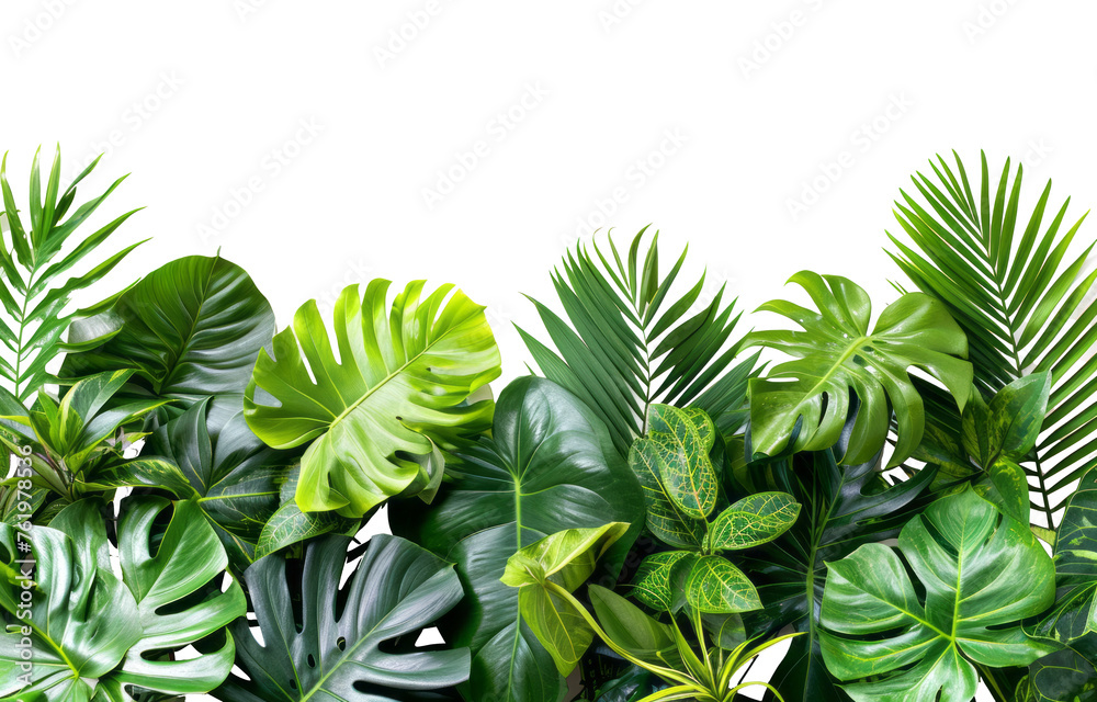 Green leaves of tropical plants bush floral arrangement indoors garden nature backdrop isolated on transparent background With clipping path. cut out. 3d render