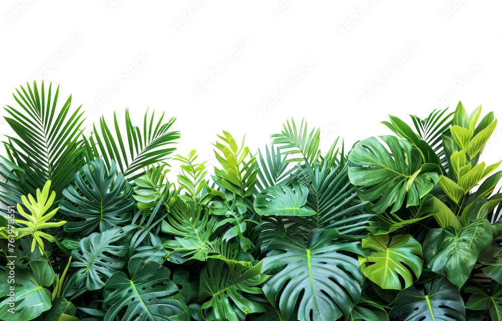 Green leaves of tropical plants bush floral arrangement indoors garden nature backdrop isolated on transparent background With clipping path. cut out. 3d render Green leaves of tropical plants bush floral arrangement indoors garden nature backdrop isolated on transparent background With clipping path. cut out. 3d render