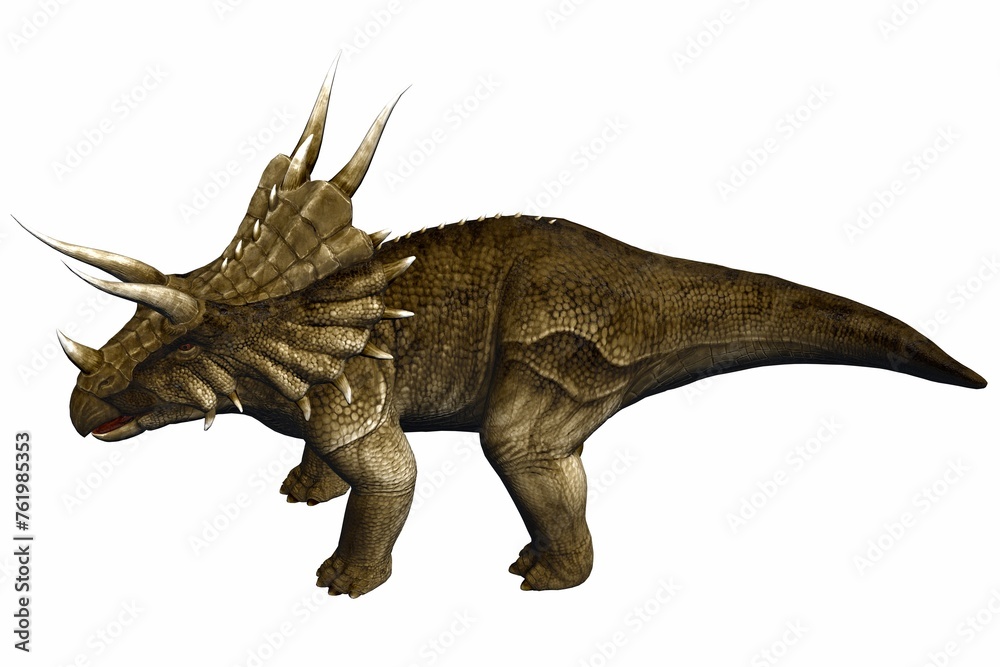 isolated triceratops