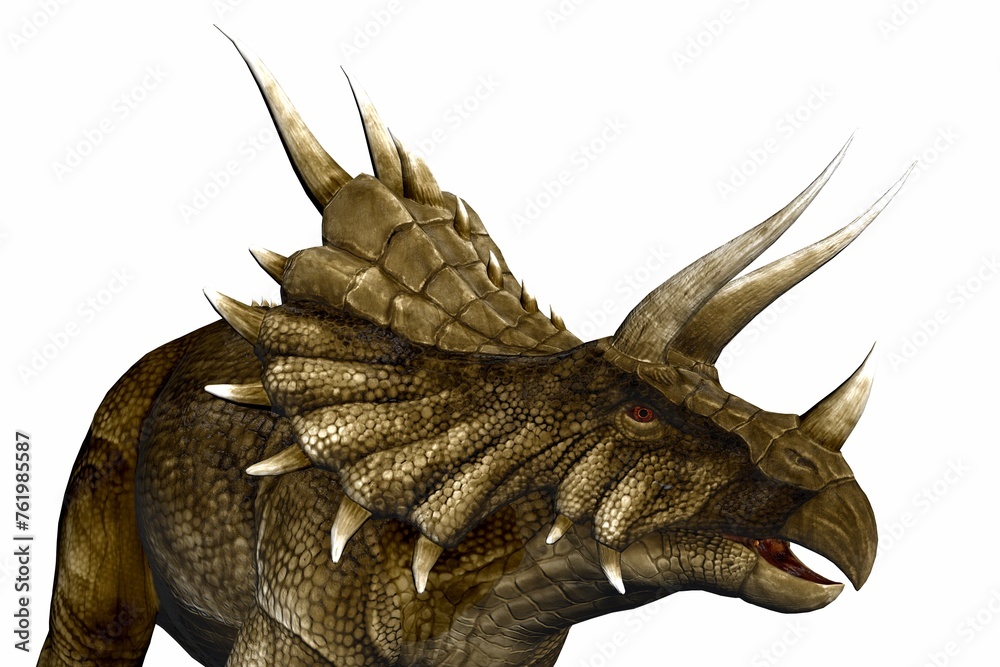 triceratops head close up triceratops head close up
