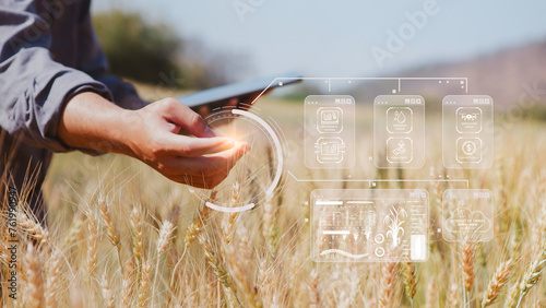 Farmer inspects barley and uses agricultural technology to analyze data via tablet Concept of smart agriculture and modern technology, pictogram icon