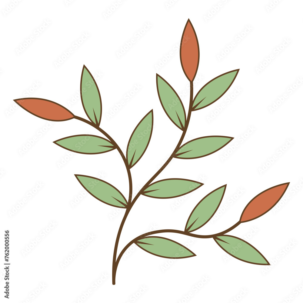 Floral Botanical Branches Illustration. Isolated on White Background.
