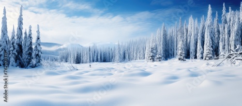Tranquil Winter Scene: Snow-Covered Landscape with Majestic Trees under Clear Blue Sky © Ilgun