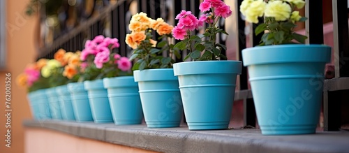 Colorful blooms in blue planters grace a windowsill