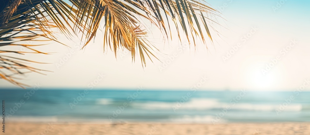 Sun shining through palm trees on tropical beach - obrazy, fototapety, plakaty 