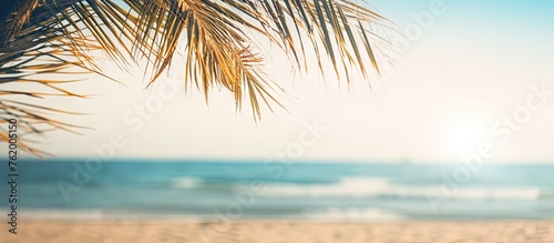 Sun shining through palm trees on tropical beach