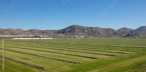 Cut and raked alfalfa field seen from aerial viewpoint in Menifee southern California United States