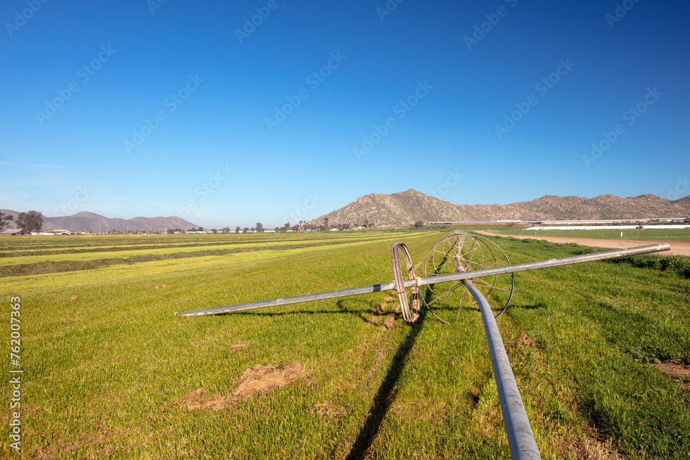 Irrigation water wheel in cut and raked alfalfa field seen from aerial viewpoint in Menifee southern California United States