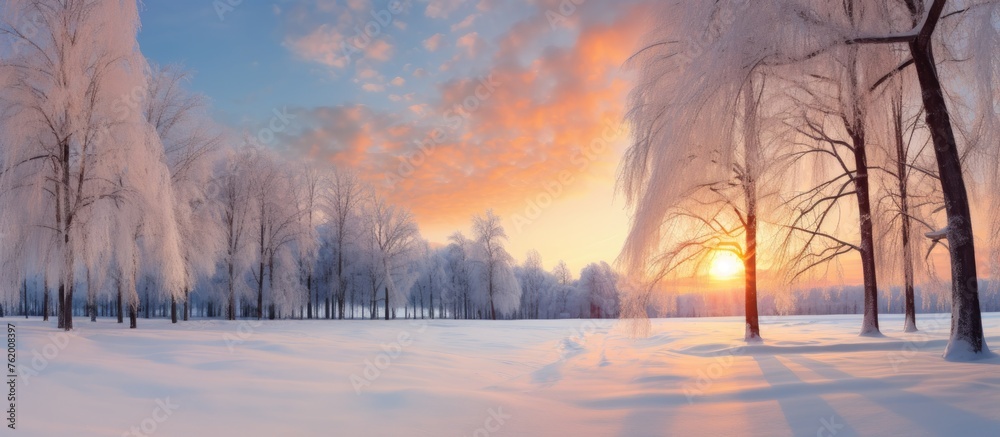 Naklejka premium Enchanting Winter Wonderland: Majestic Forest Blanketed in Snow with Vibrant Sunset Glow