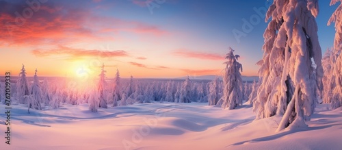 Enchanting Winter Scene with Snow-Covered Trees at Sunset