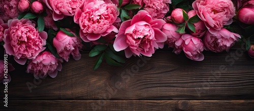 Pink peony flowers on wooden background