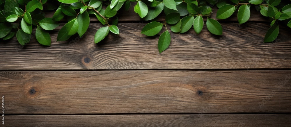 A wooden table covered with various green leaves A wooden table covered with various green leaves