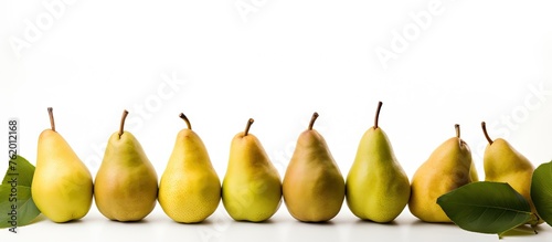 Row of ripe pears with green leaves on white background