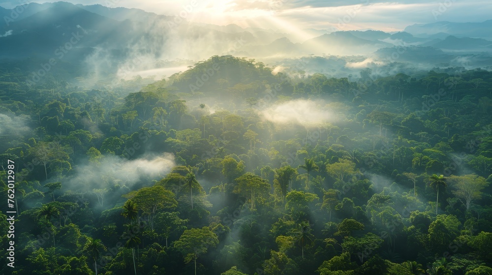 Breathtaking beauty of earth from lush rain Breathtaking beauty of earth from lush rain