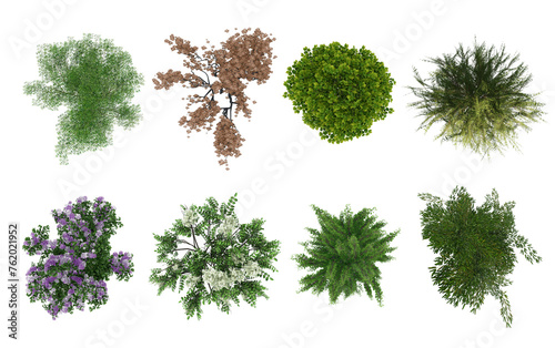 Realistic top view trees and plants