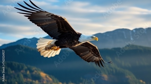 close up of a bald eagle flying in the mountains © nomesart