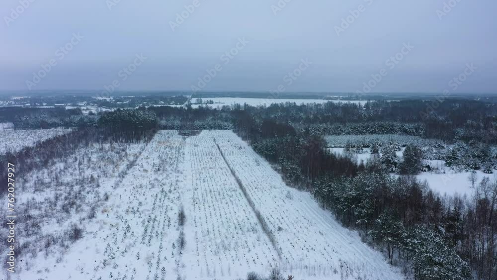 Beautiful Winter Panorama Skorkowice Aerial View Poland Beautiful Winter Panorama Skorkowice Aerial View Poland