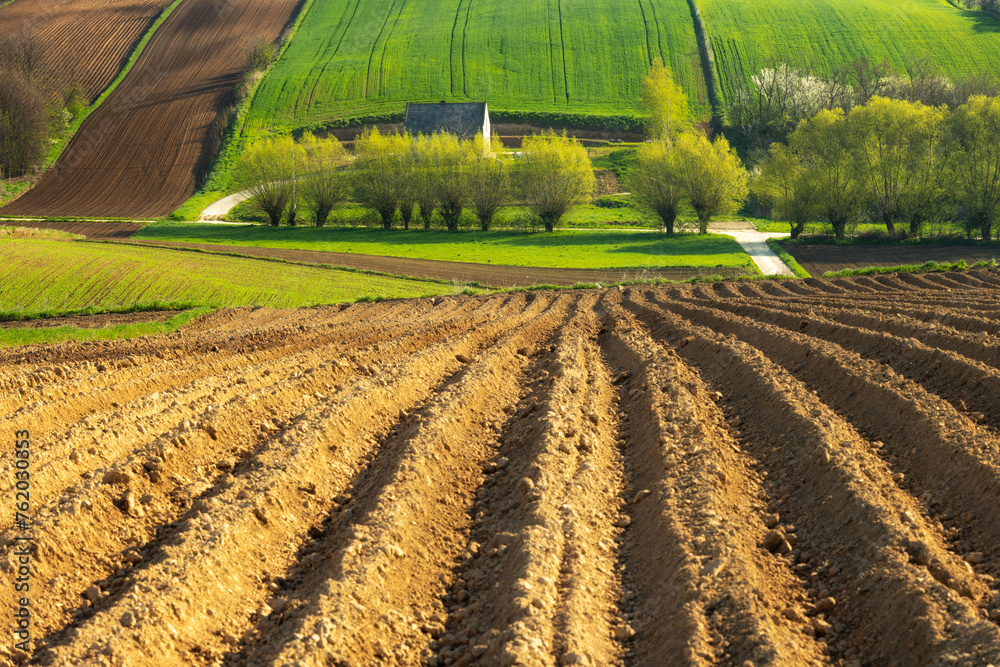 Naklejka premium Beautiful spring rural landscape with plowed fields