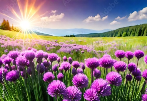 Landscape with purple chives flowers. Summer sunny day with sun, blue sky and colorful nature background. 