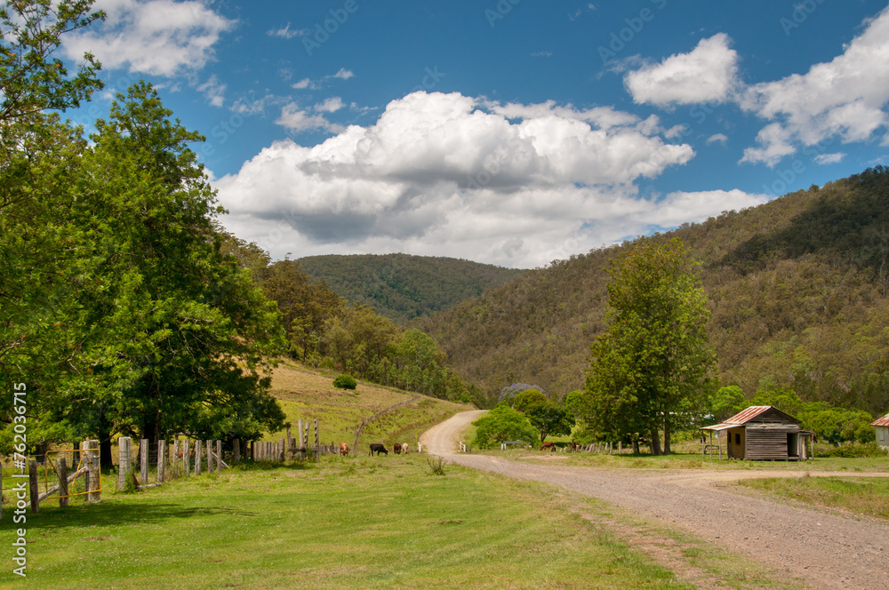 Traveling the Man River Road in Northern New South Wales, Australia Traveling the Man River Road in Northern New South Wales, Australia