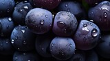 close up of grapes with water drops