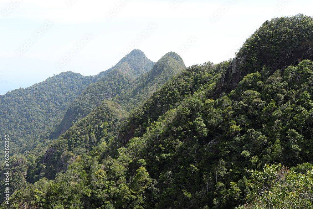 High mountain in morning time. Beautiful nature background with  trees in the mountain at Langkawi, Malaysia.