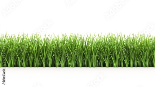 Green Grass Field Isolated on White Background