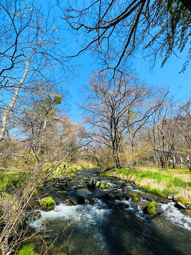 Landscape of the river and park natural scenery of the Hoshino area of Karuizawa, Japan. with blue sky background photo