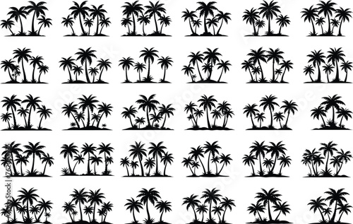 Set of tropical palm trees with leaves, mature and young plants, black silhouettes isolated on white background