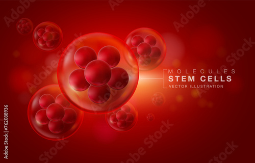 Stem cells in red blood cells The origin of living things in close up floating on a red blurred background. 3D vector illustration file.