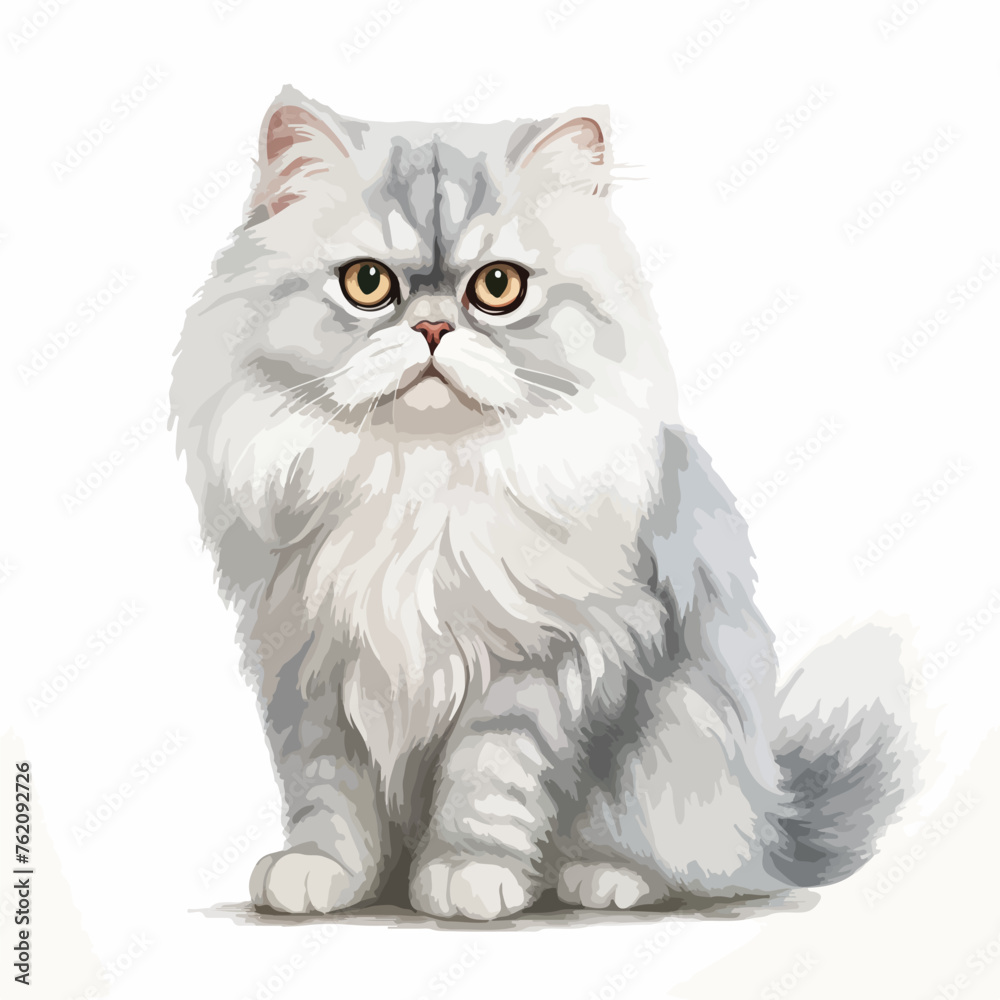 Chinchilla Persian Cat Clipart 