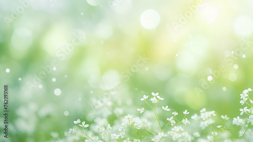 White wildflowers among greenery in the sunlight, a postcard on a spring background