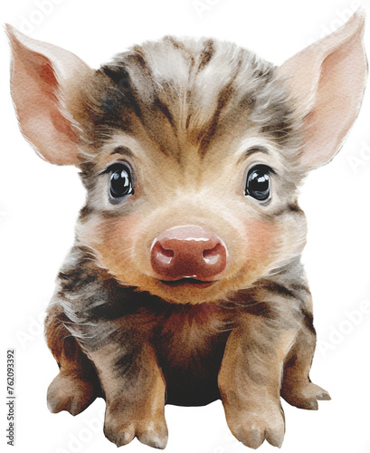 Realistic Watercolor Boar Baby Animal. Fluffy Forest Friends. Woodland Nursery.