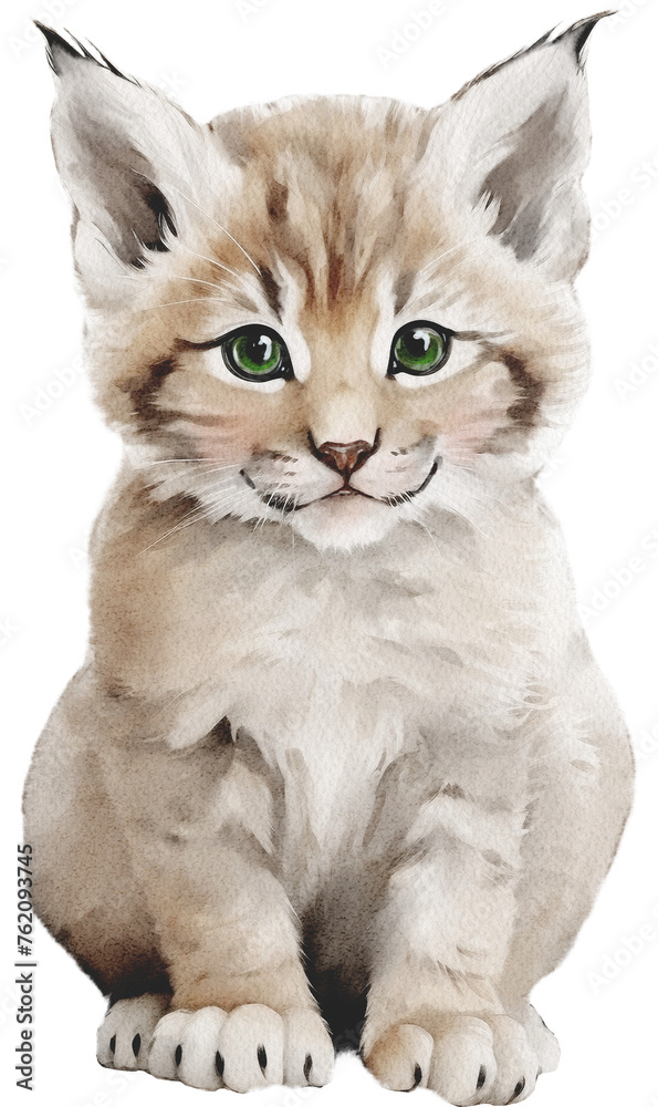 Obraz premium Realistic Watercolor Baby Lynx Animal. Fluffy Forest Friends. Woodland Nursery.