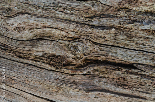 Close up of drift wood with knots and cracks found on Strangford Lough Shore photo