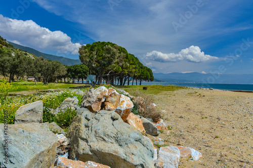 pines and rocks on Çamlık Plaj scenic beach and Marmara sea near Kapakli (Yalova province, Turkey)  photo