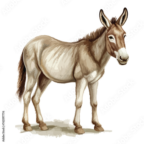 Donkey clipart isolated on white background -