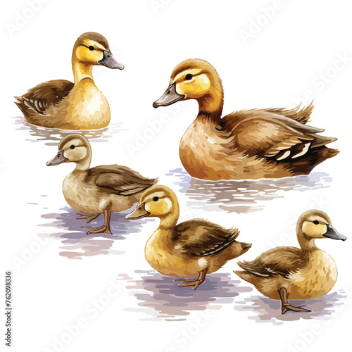 Ducklings clipart isolated on white background © Ideas