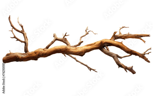 Barren Tree Branch in Winter. On a White or Clear Surface PNG Transparent Background.