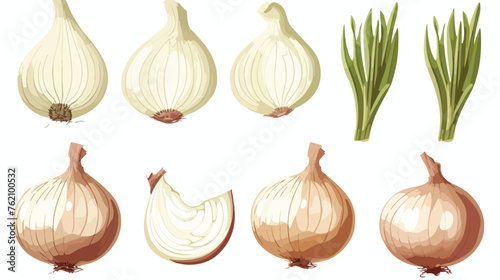 Linear Onions. Hand drawing whole and chopped onion