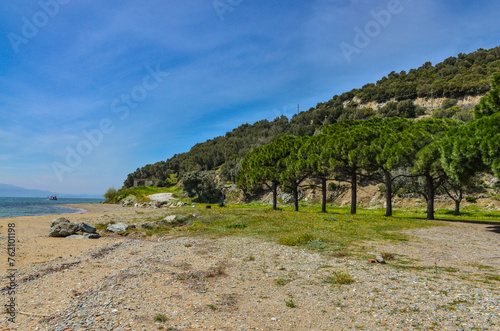 pines and rocks on Çamlık Plaj scenic beach and Marmara sea near Kapakli (Yalova province, Turkey) 