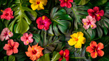 Background of colorful hibiscus flowers and green palm leaves.
