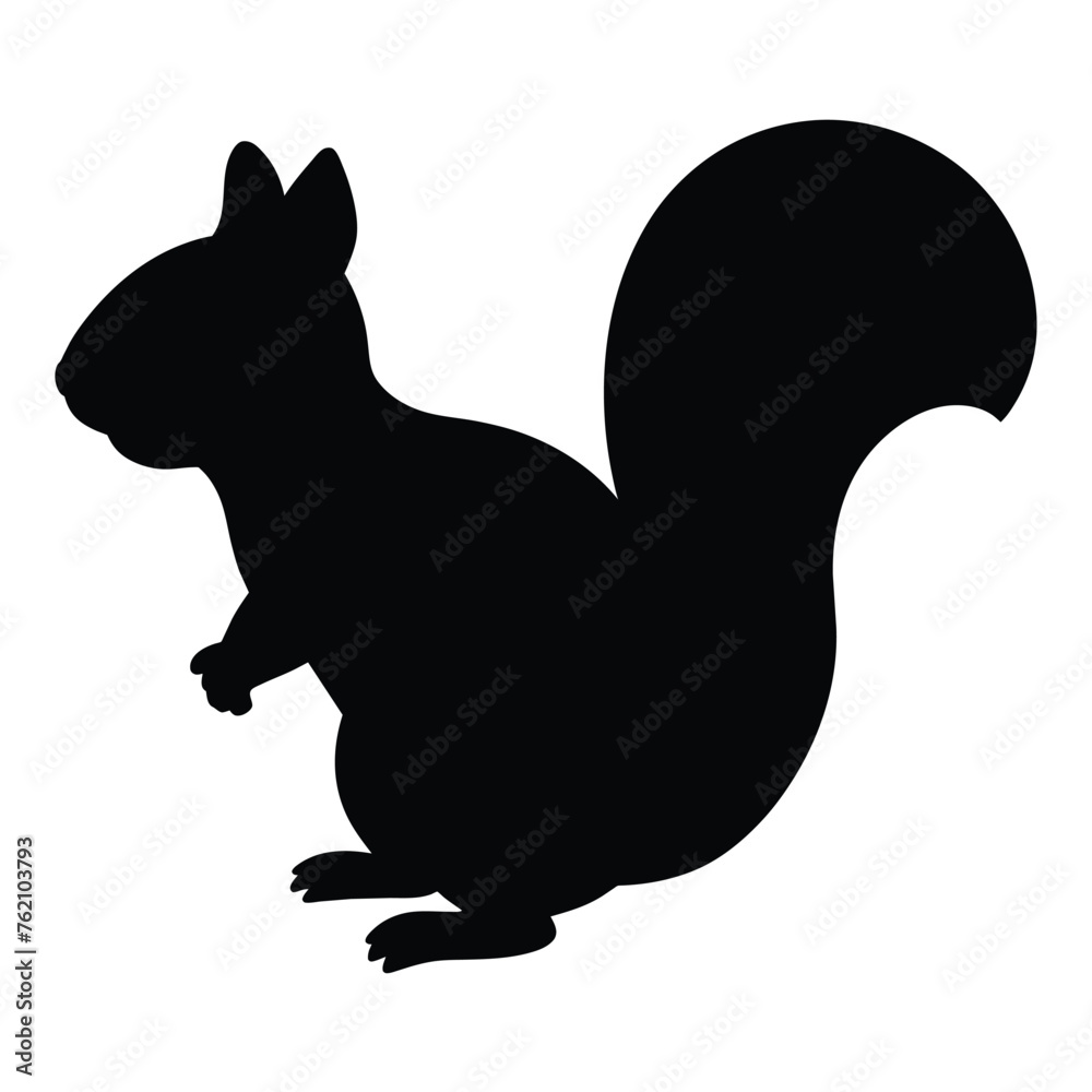 black and white Squirrel silhouette black and white Squirrel silhouette