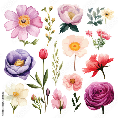 Flowers Clipart isolated on white background