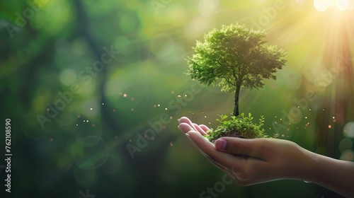 concept of saving the world tree in human hand space for text.
