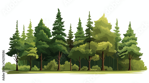 Tree forest natural camping foliage plant flat vector photo