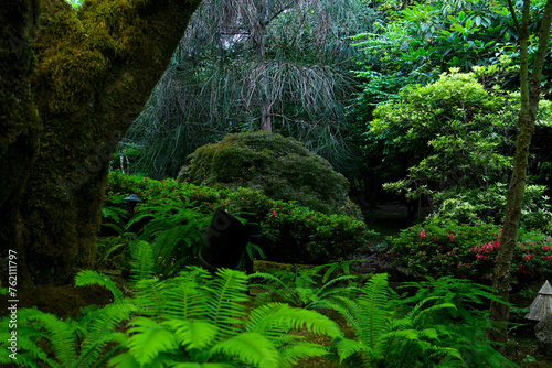 Japanese garden The famous gardens of Butchert on Victoria Island. Canada. The Butchart Gardens