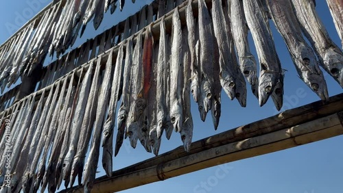 Close up view of fish drying in the sun on Maheskhali Island. Bangladesh. photo