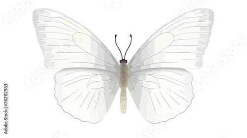 White butterfly called Cabbage Butterfly or Cabbage © Noman
