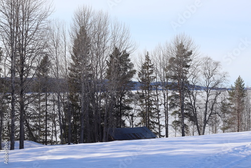 winter landscape with trees © Svetlana